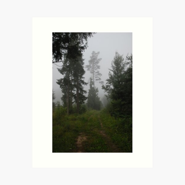 Aperçu de l'œuvre Forest pathway in fog créée et vendue par Antanas.
