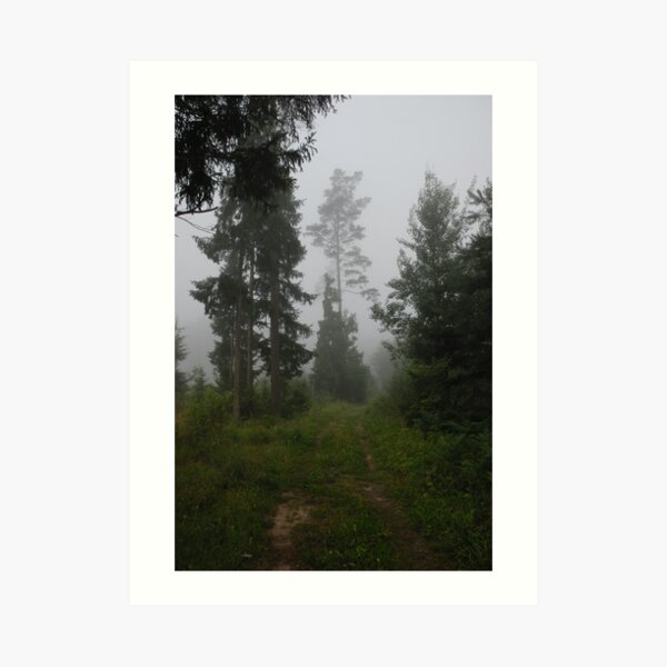 Forest pathway in fog Art Print