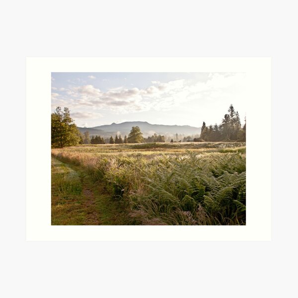 Early morning walk Art Print
