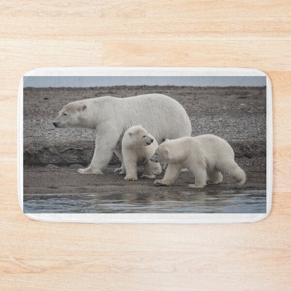 Item preview, Polar Bears designed and sold by Roger  Mackertich.