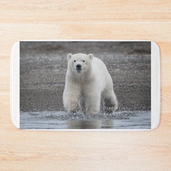 Item preview, Polar Bear stare down designed and sold by Roger  Mackertich.