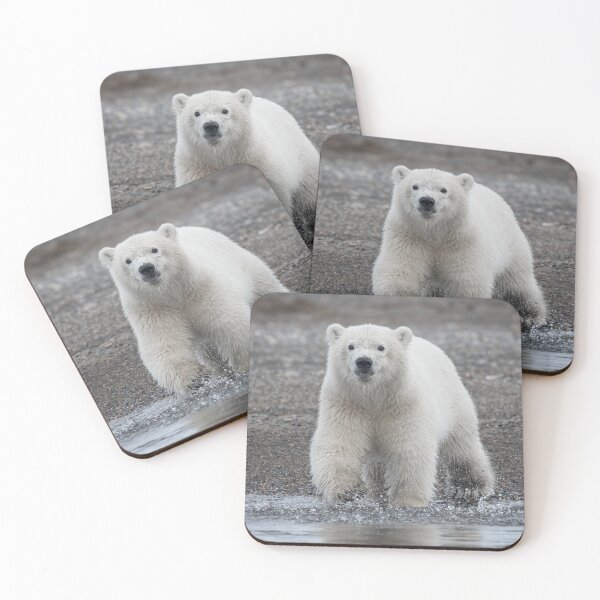 Item preview, Polar Bear stare down designed and sold by Roger  Mackertich.