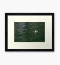 Patrol Framed Print