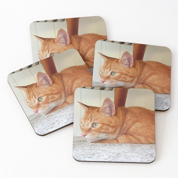 Item preview, Thoughtful ginger cat designed and sold by bullettrainyeti.