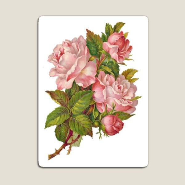 Shabby Chic Roses Magnet