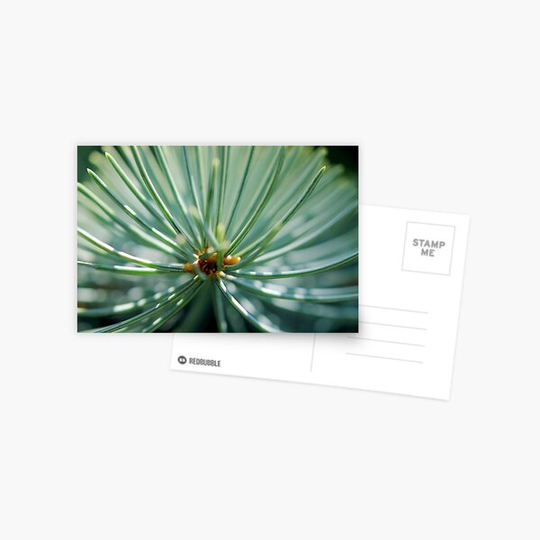 * Postcard