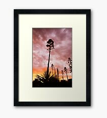 Agave Sunset Framed Print