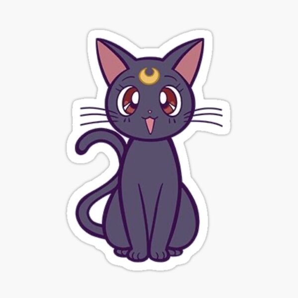 Кот мун. Sailor Moon кошка. Мун кот.