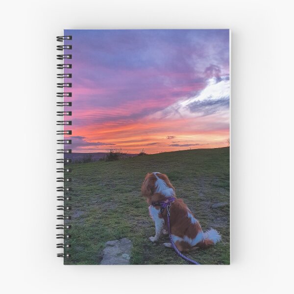 Item preview, Blenheim Cavalier King Charles Sunset  designed and sold by chloerhianphoto.
