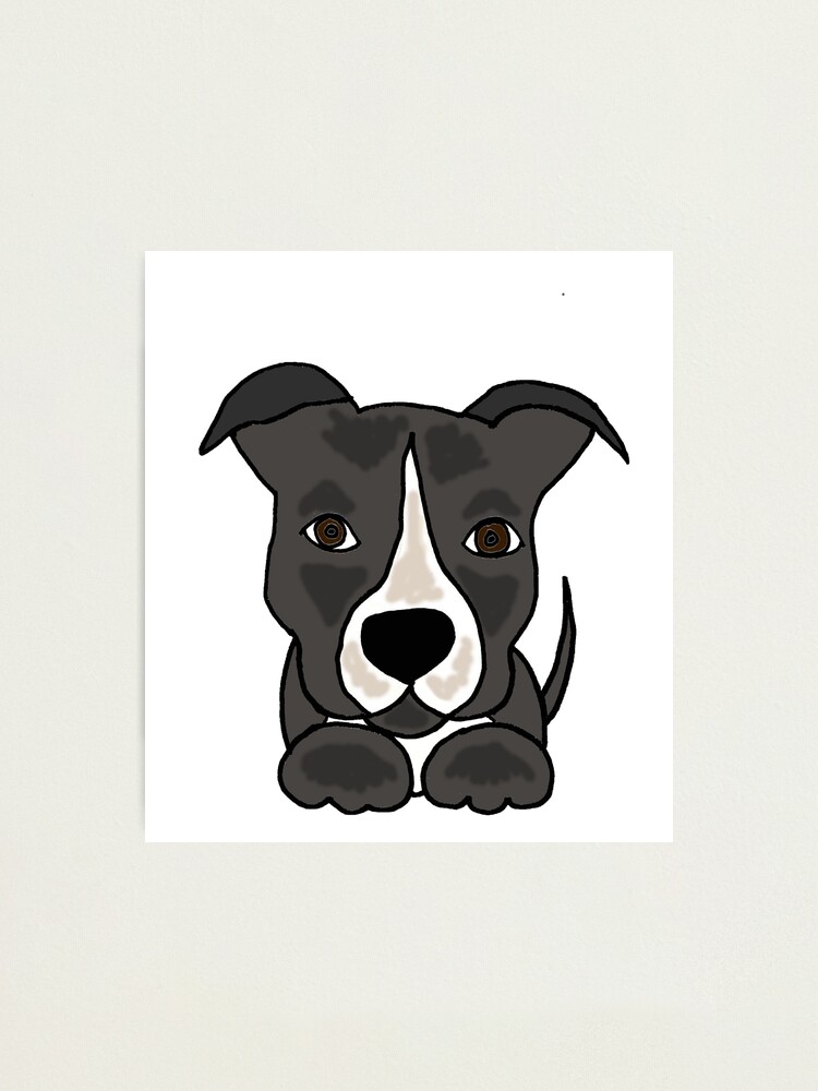 Impression Photo Chien Chiot Pitbull Gris Et Blanc Drole Par Naturesfancy Redbubble