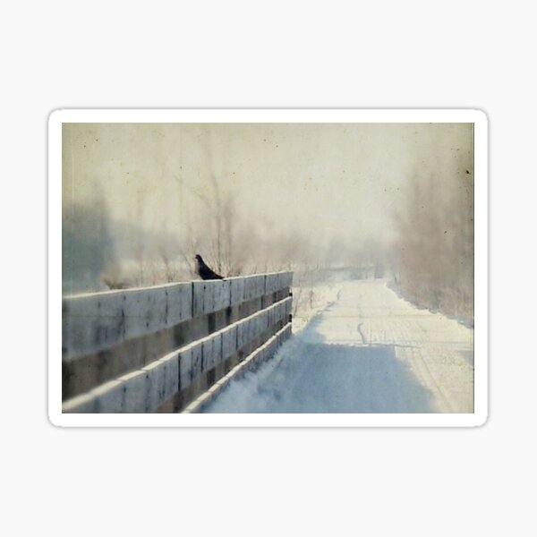 carte postale / 10 Sticker