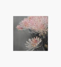 Summer Flowers Art Board