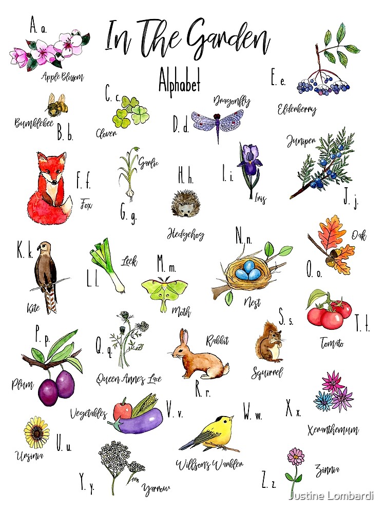 In the Garden Alphabet by myartjourney