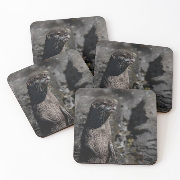 Item preview, Short Clawed Otter Keeping Watch photo  designed and sold by chloerhianphoto.