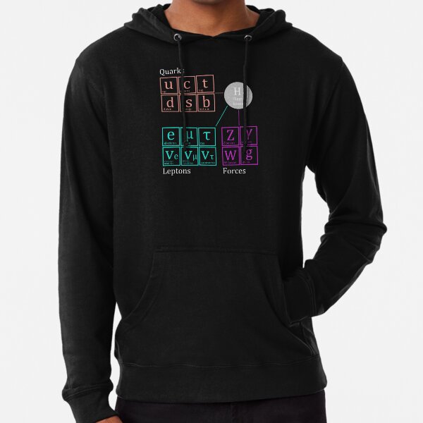 Physics - Standard Model of Elementary Particles Lightweight Hoodie