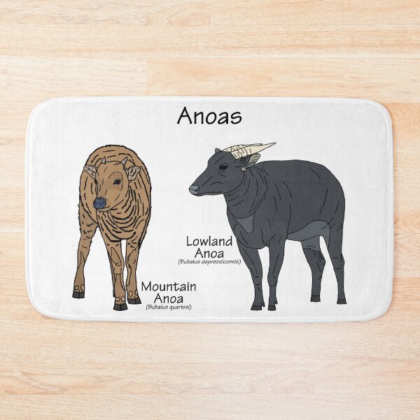 Item preview, Anoas (with Scientific Names) designed and sold by GraceT26.