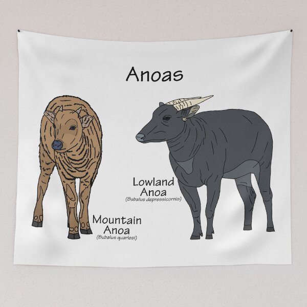 Item preview, Anoas (with Scientific Names) designed and sold by GraceT26.