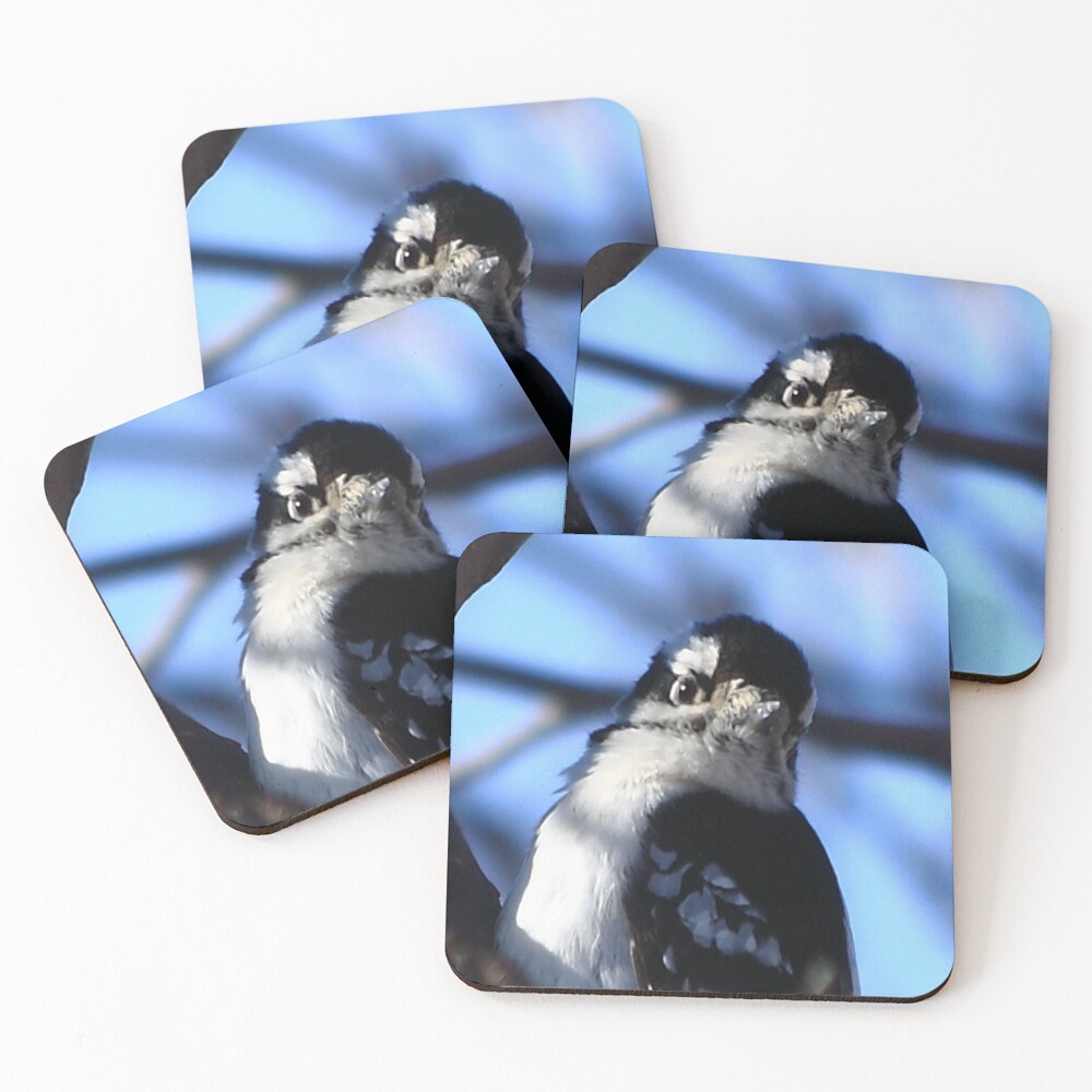 Aperçu de l'œuvre Dessous de verre (lot de 4) créée et vendue par KatsEye.