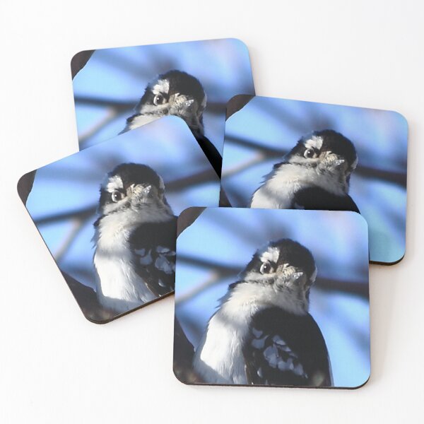 Item preview, I Know I'm Cute - Downy Woodpecker designed and sold by KatsEye.