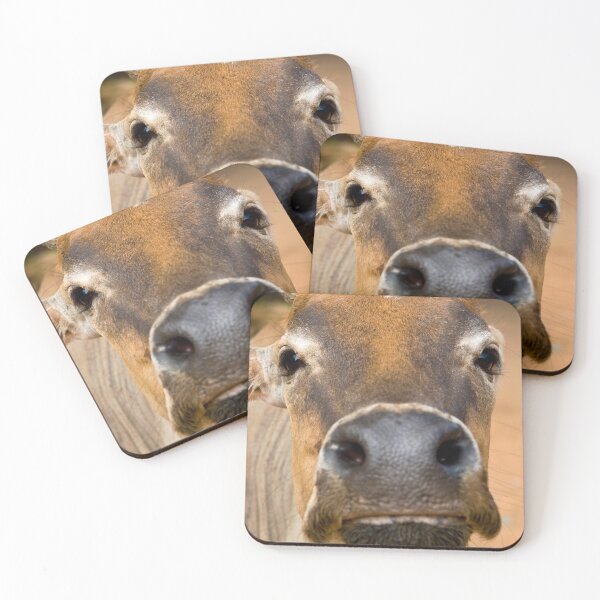 Item preview, Nosey Cow designed and sold by Kezzles.