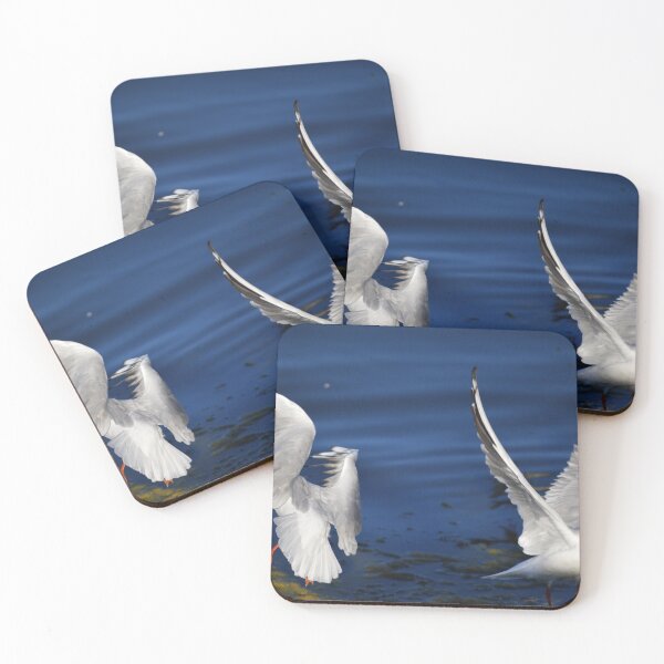 Item preview, Flight Madness designed and sold by absurdphotos.