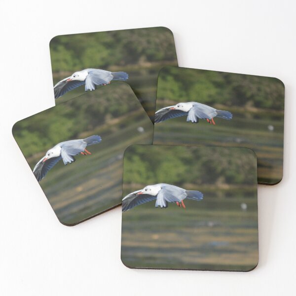 Item preview, Home Landing designed and sold by absurdphotos.
