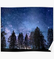 Beautiful Starry Evening with Pine Tree Silhouettes Poster