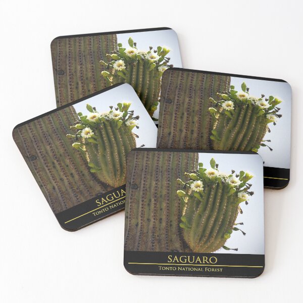 Item preview, The desert bloom designed and sold by jdbphotoworks.
