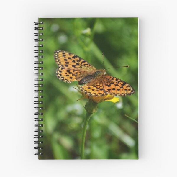 Artikelvorschau, Schweizer Schmetterling entworfen und verkauft von absurdphotos.