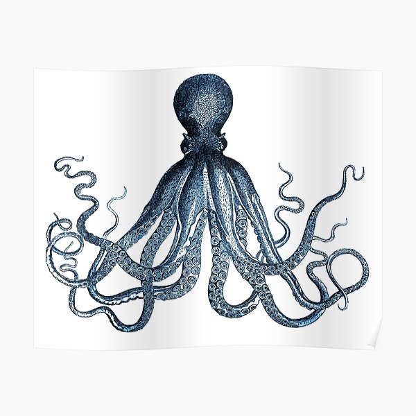 Vintage Octopus Art Print Blue ~ Kraken ~ Nautical ~ Retro ~ 0389 Poster