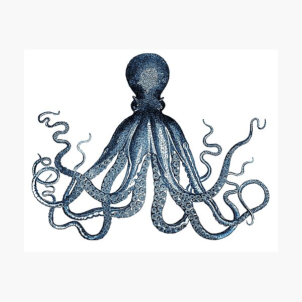Vintage Octopus Art Print Blue ~ Kraken ~ Nautical ~ Retro ~ 0389 Photographic Print