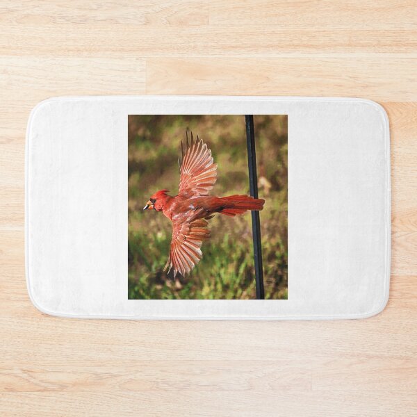 Item preview, Cardinal Flies Off with his Sunflower Seed designed and sold by Chapperson.