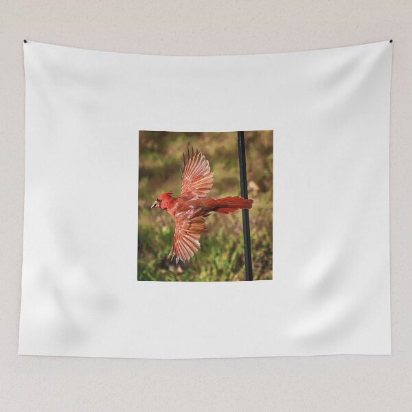 Item preview, Cardinal Flies Off with his Sunflower Seed designed and sold by Chapperson.