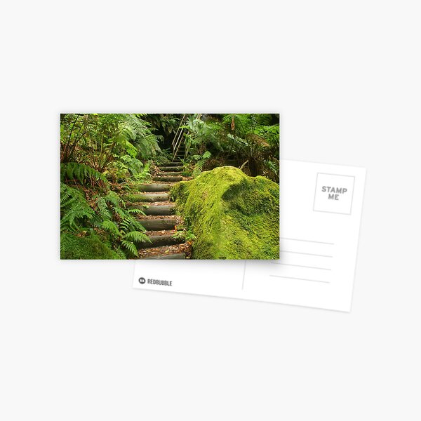 Item preview, Fern Bower Walk designed and sold by Michael Matthews.