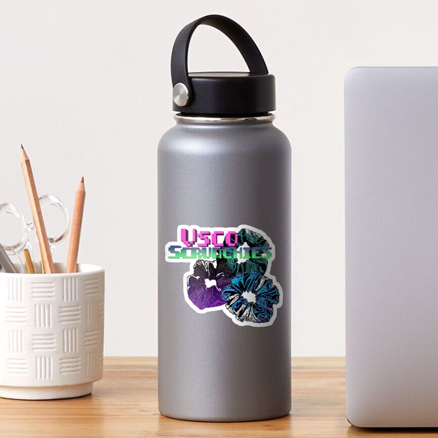 "vsco girls scrunchies tiktok meme hydro flask " Sticker by