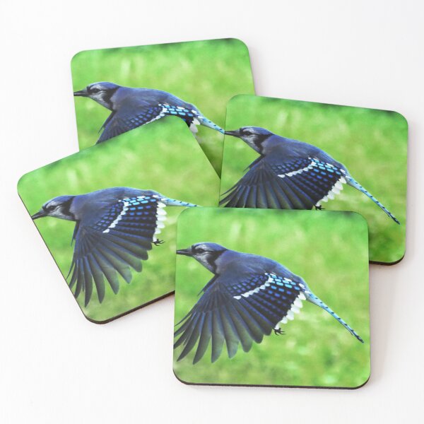 Item preview, Blue Jay in Flight designed and sold by Chapperson.