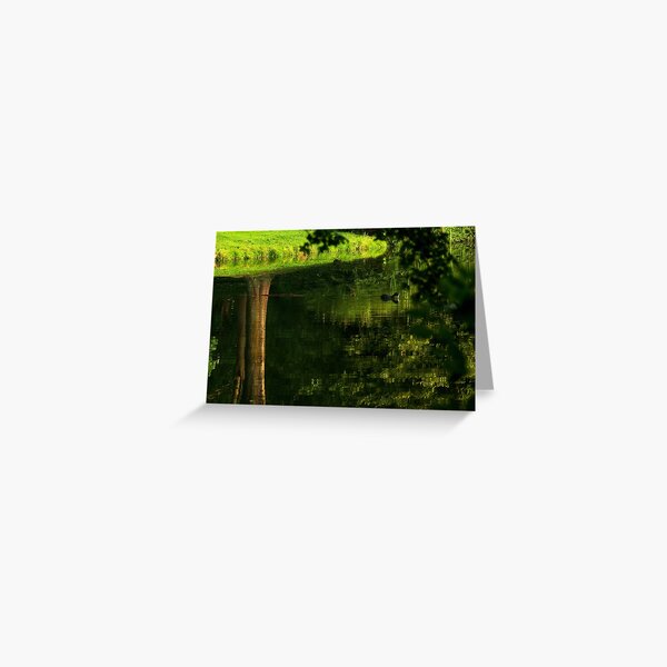 Coot's upside down water world Greeting Card