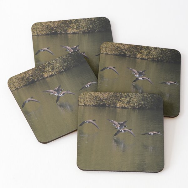 Item preview, Squadron One designed and sold by absurdphotos.