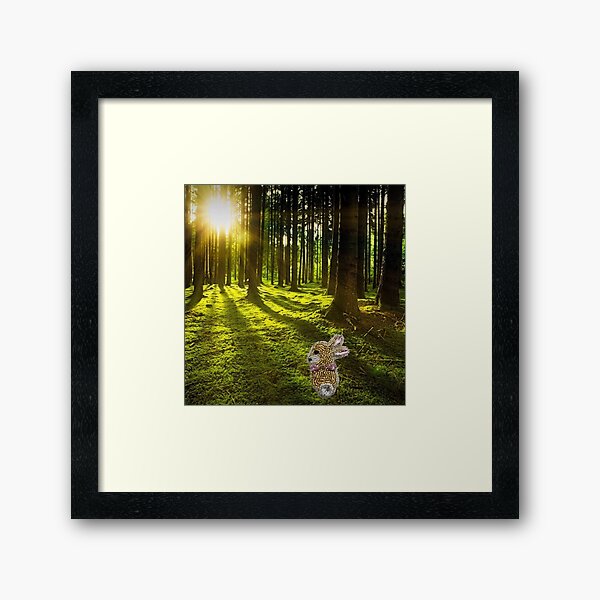 Little cute bunny in a forest at sunrise Framed Art Print
