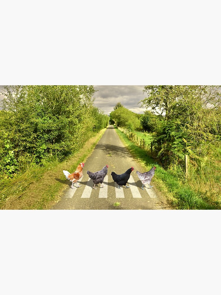 Discover Chicken Abbey Road Premium Matte Vertical Poster