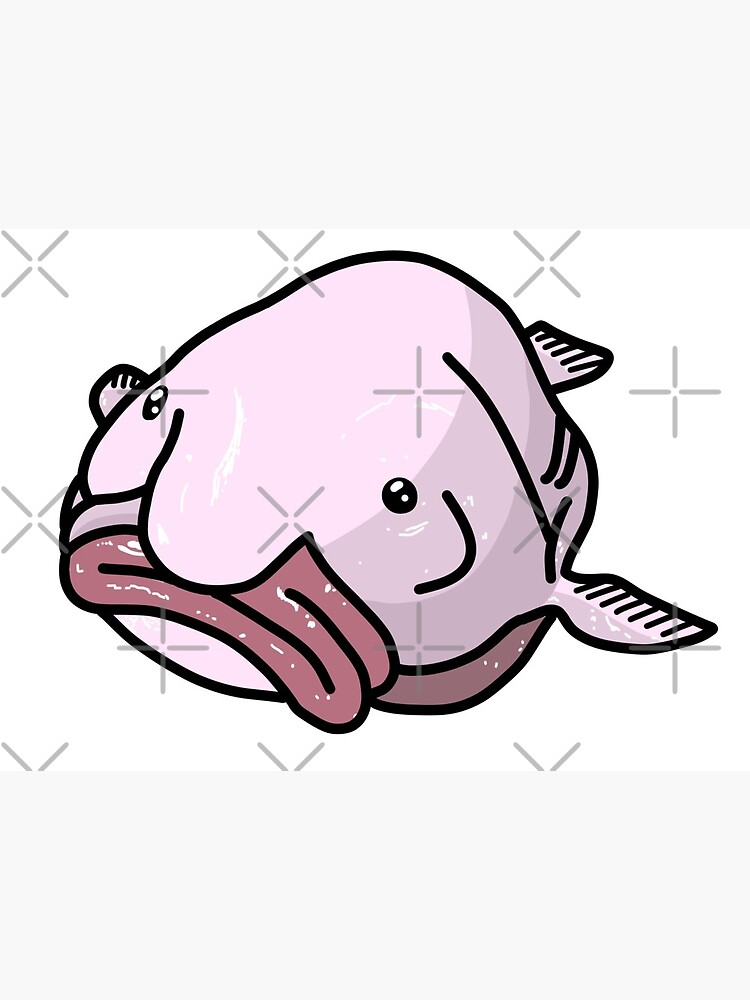 Blob Fish - Date 2  Blobfish, Fish drawings, Happy animals