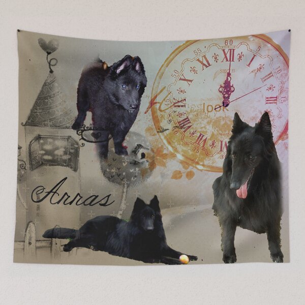 Item preview, Belgian Sheppard, Belgian Shepherd Dog designed and sold by Katya1980.