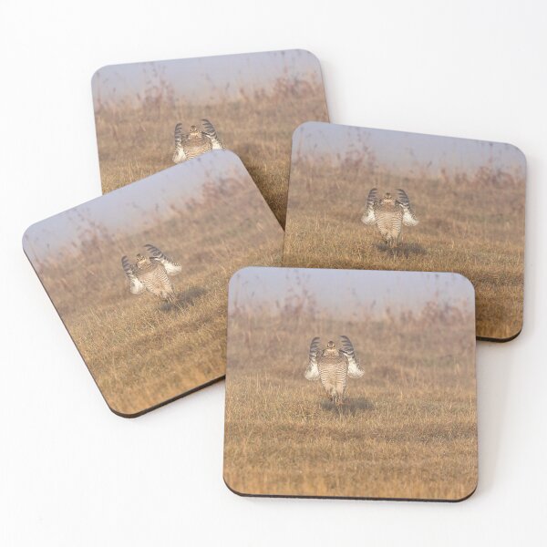 Item preview, Prairie Chicken 2019-4 designed and sold by Thomasyoung.