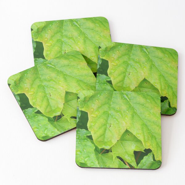 Item preview, maple designed and sold by ToniStauche.