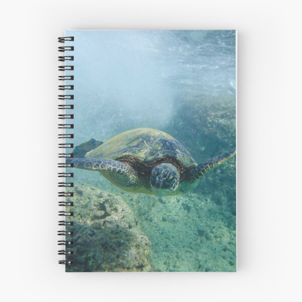Item preview, Diving Turtle at Ke'e Beach designed and sold by thatche2.