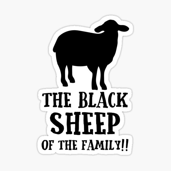 31 New Black sheep design portsmouth nh for Trend 2022