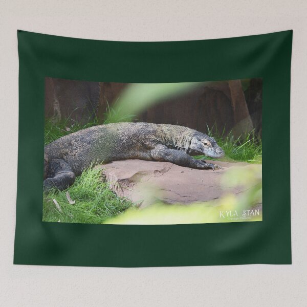 Item preview, She Dragon designed and sold by Nature's Reflections.