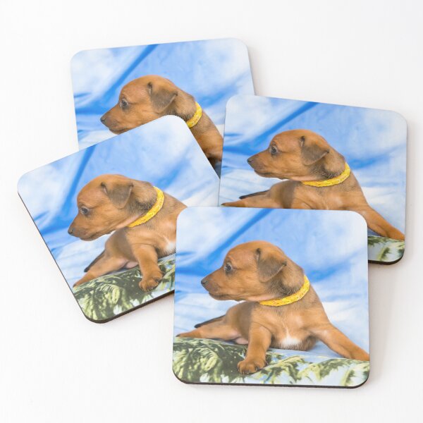 Item preview, Red Miniature Pinscher puppy, 1 months old designed and sold by lena-maximova.