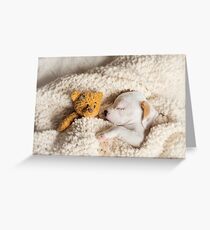 Daisy & Patches Greeting Card