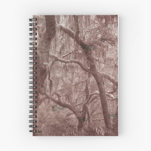 Item preview, Trees with Moss in Sepia Tone designed and sold by Allen Penton.